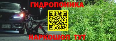 метадон Кингисепп